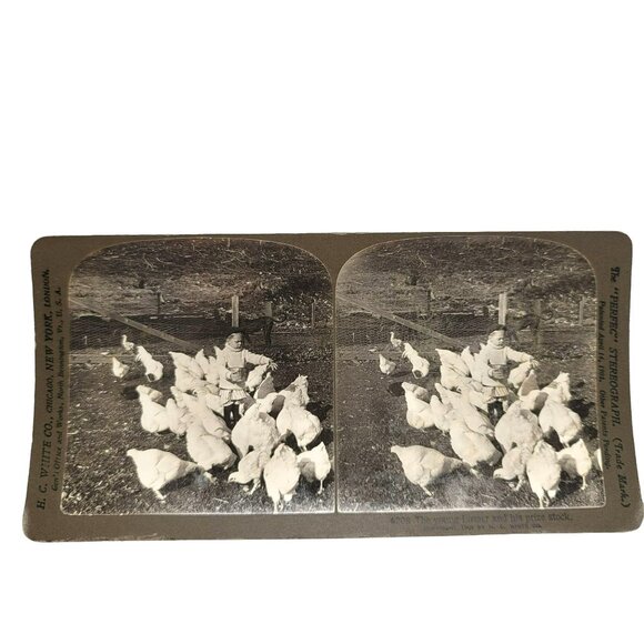 Antique Stereoscope Photo Card The Young Farmer Boy & Chickens 1904 LI89 - Picture 2 of 5